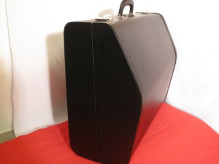 Moulded Hard case for 120 bass